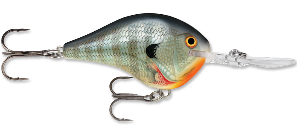 Rapala DT Series Crankbait DT10 - TACKLE WAREHOUSE AMERICA​
