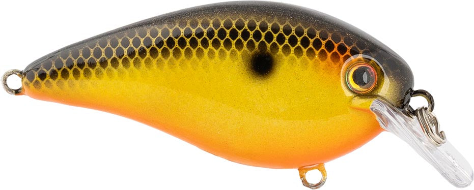 Strike King KVD Elite 2.5 Squarebill Crankbait - 2.75 Inch - TACKLE WAREHOUSE AMERICA​