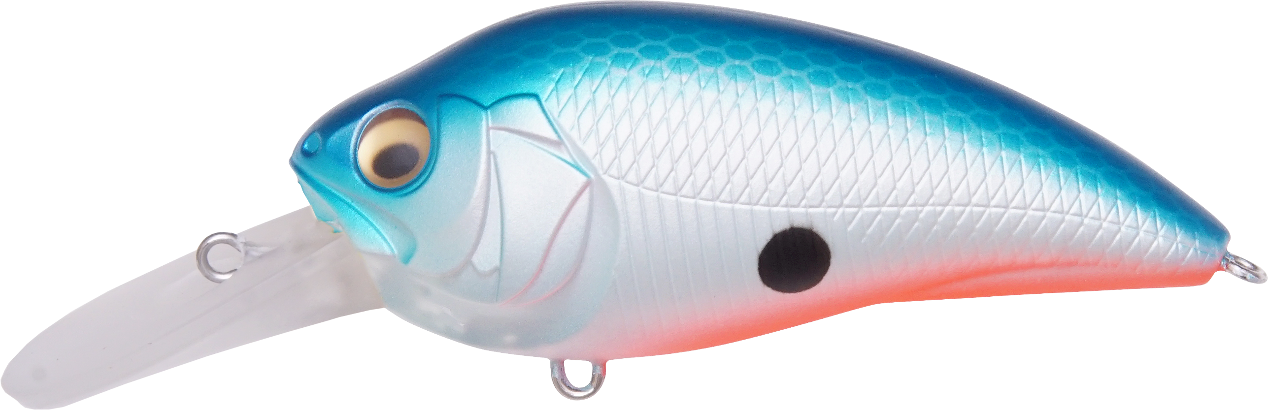 Megabass Super-Z Z-2 Deep Diving Crankbait - TACKLE WAREHOUSE AMERICA​