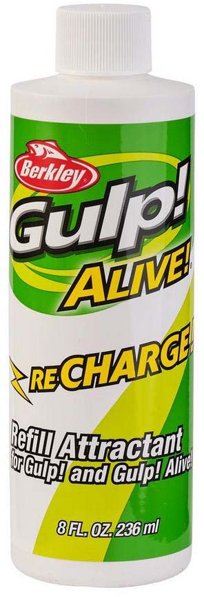 Berkley Gulp! Alive Recharge Liquid 8oz - TACKLE WAREHOUSE AMERICA​