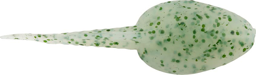 Berkley Gulp! Alive! Tadpole - 1.25 Inch - TACKLE WAREHOUSE AMERICA​