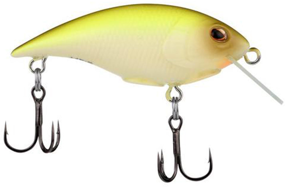 Berkley Shallow Money Badger Crankbait - 1.5 Inch - TACKLE WAREHOUSE AMERICA​