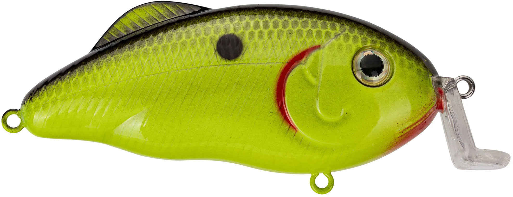 Strike King Hybrid Hunter Jr Shallow Crankbait - TACKLE WAREHOUSE AMERICA​