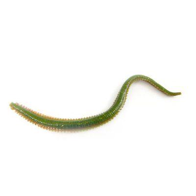 Berkley Gulp! 6 inch Scented Plastic Sandworm 10 pack - TACKLE WAREHOUSE AMERICA​