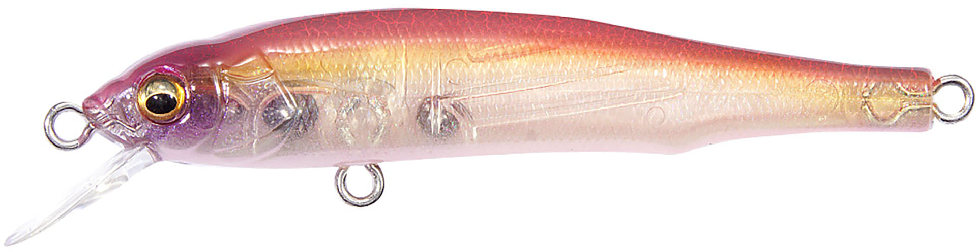 Megabass X-70 BFS - TACKLE WAREHOUSE AMERICA​