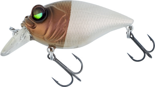 Megabass Quiet Griffon SR-X - Limited Edition - TACKLE WAREHOUSE AMERICA​