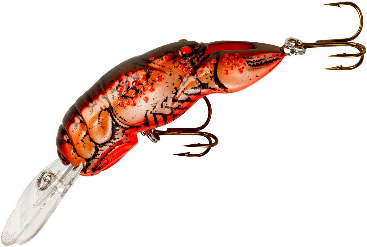 Rebel Big Craw 2 1/2 inch Medium Diving Crankbait - TACKLE WAREHOUSE AMERICA​