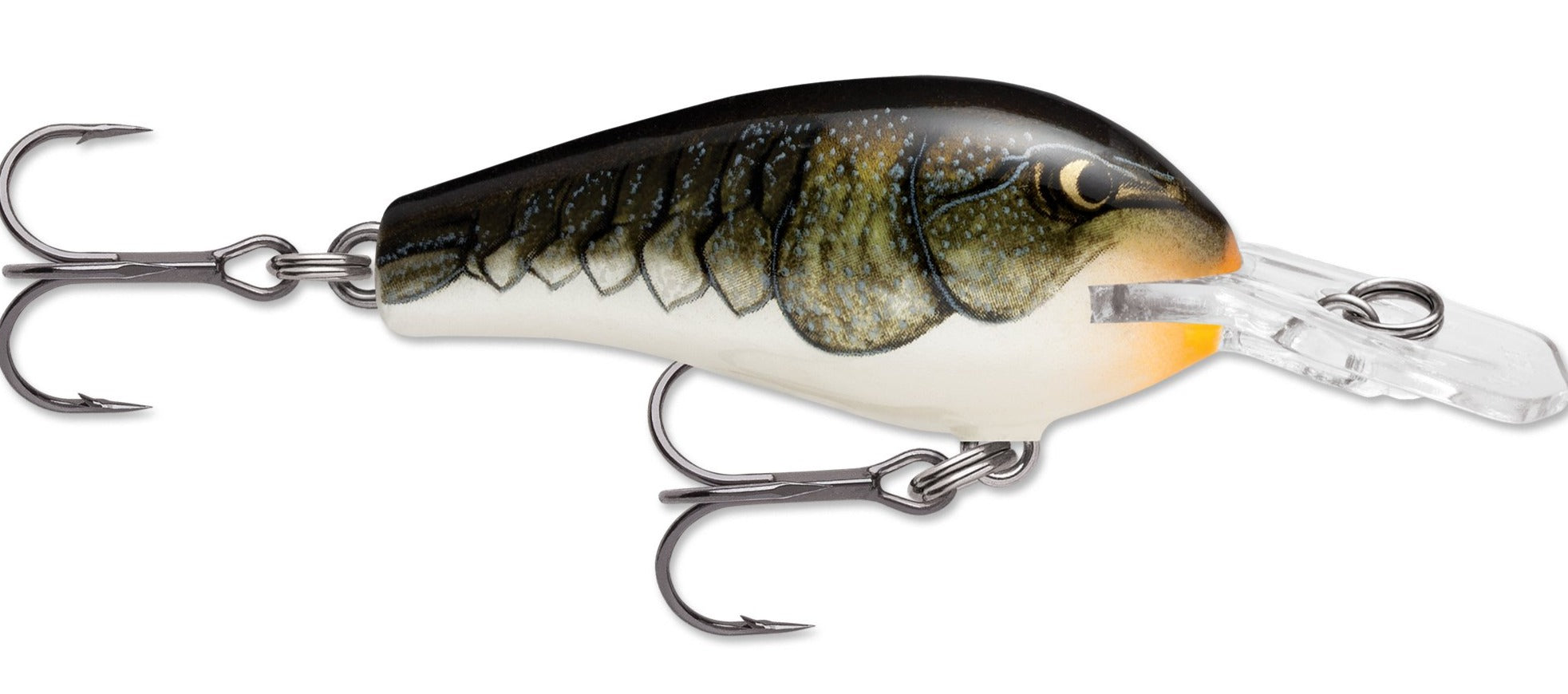 Rapala Fat Rap 05 Deep Diving Crankbait - TACKLE WAREHOUSE AMERICA​