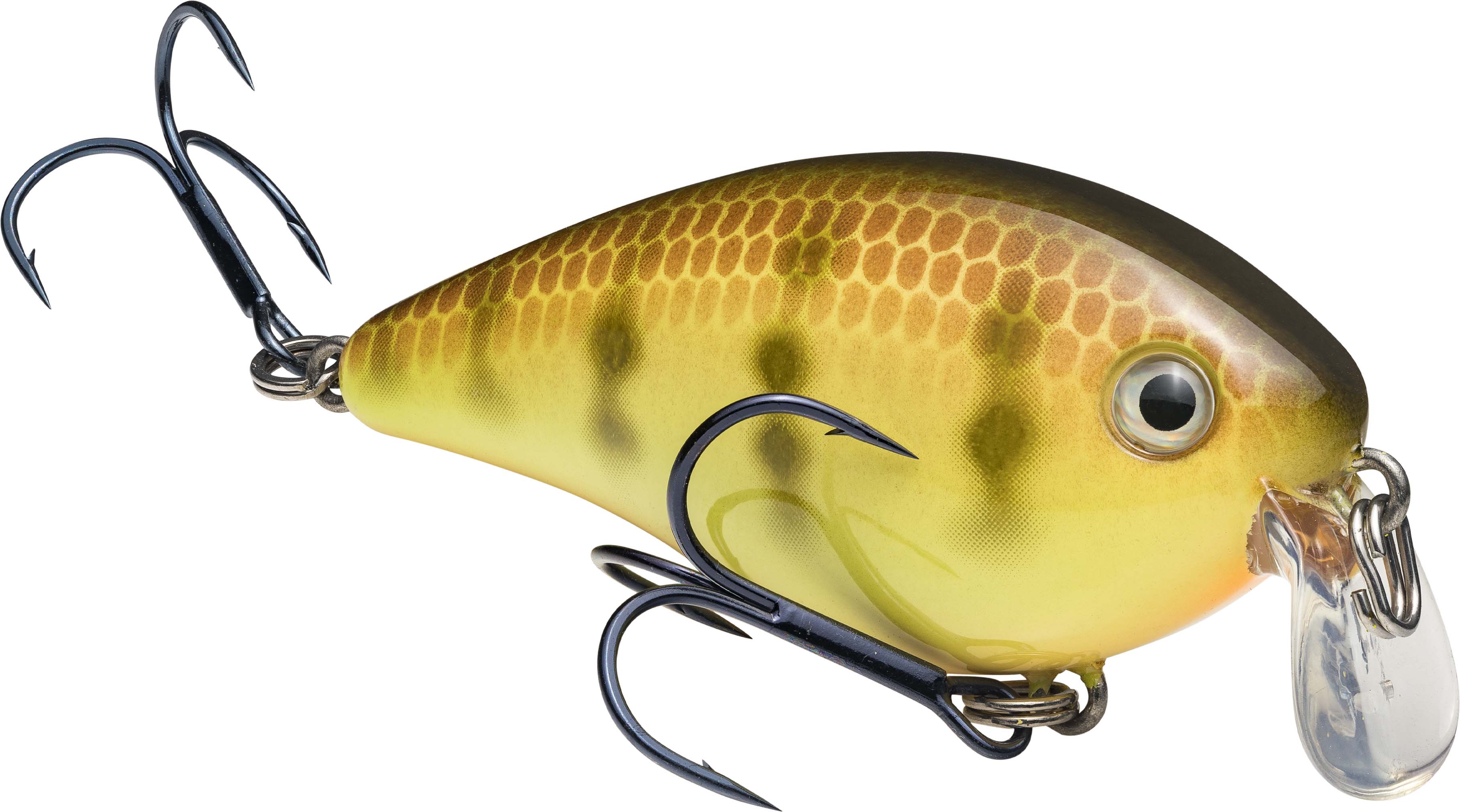 Strike King KVD Square Bill 1.5 Shallow Silent Crankbait - TACKLE WAREHOUSE AMERICA​