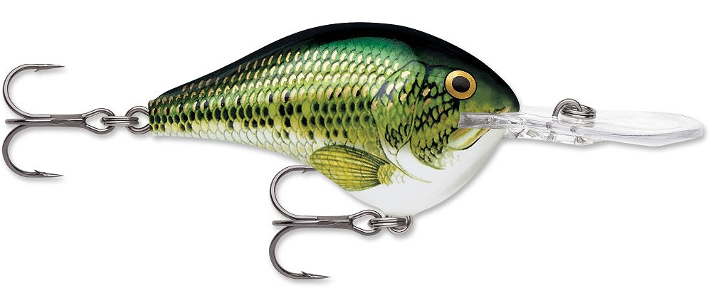 Rapala DT Series Crankbait DT8 - TACKLE WAREHOUSE AMERICA​