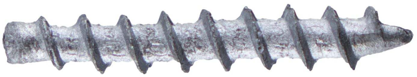 Big Bite Baits Neko Screw Weights - TACKLE WAREHOUSE AMERICA​