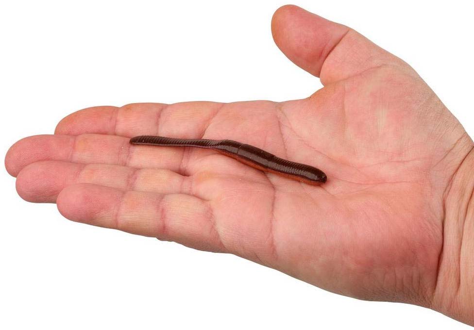Berkly Gulp! Alive! SR Crawler - TACKLE WAREHOUSE AMERICA​