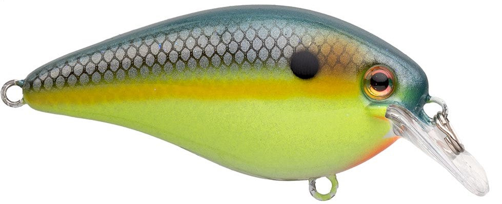 Strike King KVD Elite 1.5 Squarebill Crankbait - 2.25 Inch - TACKLE WAREHOUSE AMERICA​