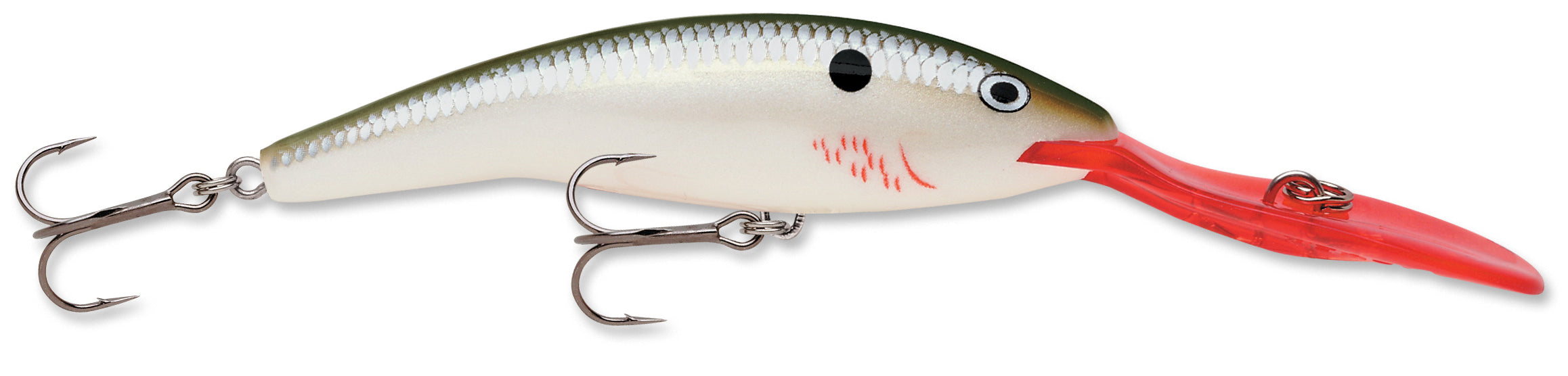 Rapala Deep Tail Dancer 11 Extra Deep Diving Crankbait - TACKLE WAREHOUSE AMERICA​
