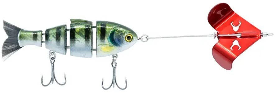 Bucca Buzzing Baby Bull Shad Jointed Swimbait/Buzzbait Combo - 3.75 Inch - TACKLE WAREHOUSE AMERICA​