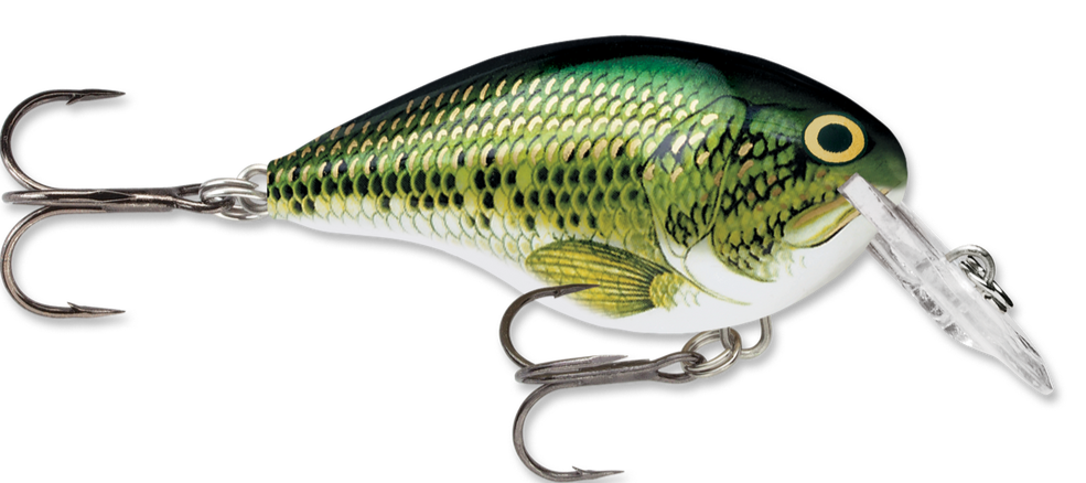 Rapala DT Series Crankbait DT4 - TACKLE WAREHOUSE AMERICA​