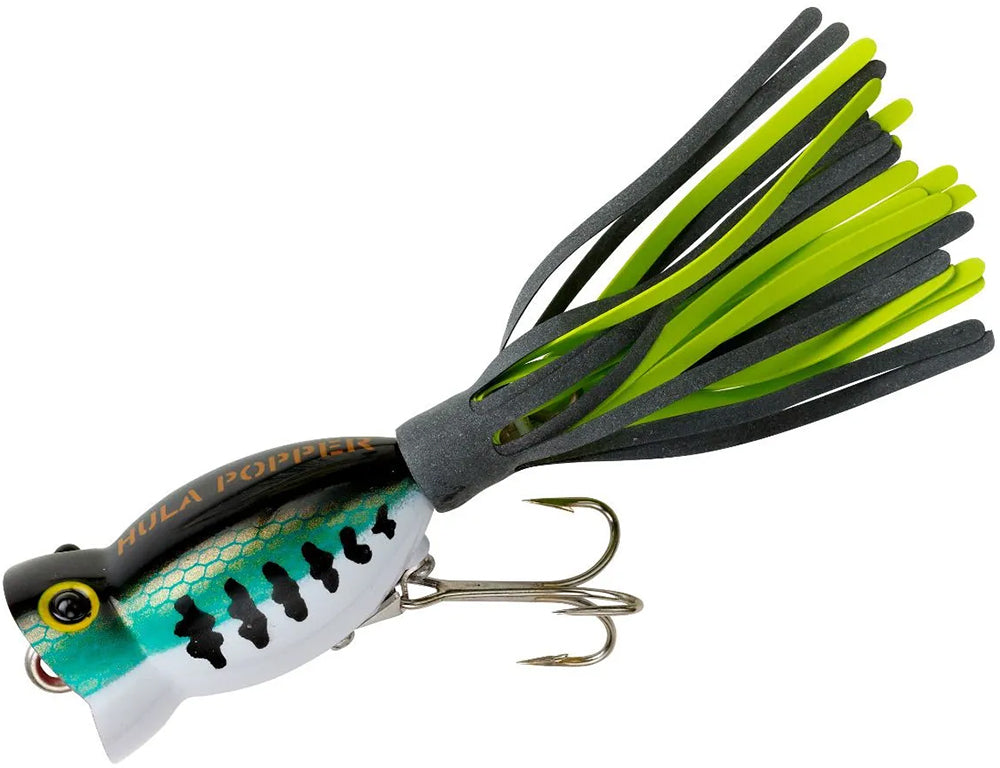 Arbogast Hula Popper Topwater Popper - TACKLE WAREHOUSE AMERICA​