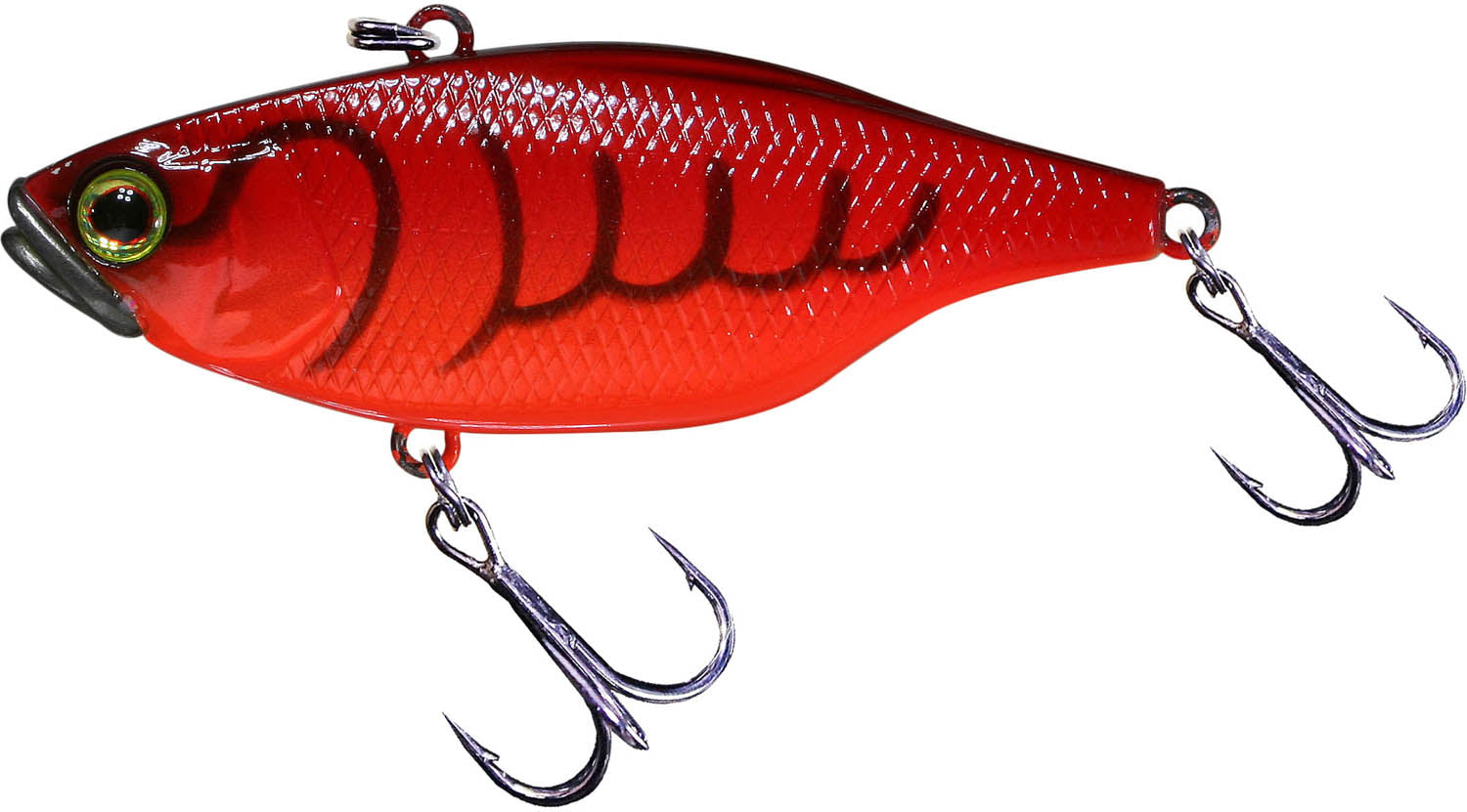 Jackall TN 50/60/70 Lipless Crankbait - TACKLE WAREHOUSE AMERICA​