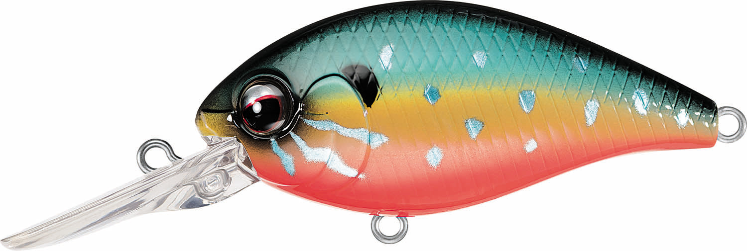 Evergreen International CR-8 Medium Diving Crankbait - TACKLE WAREHOUSE AMERICA​
