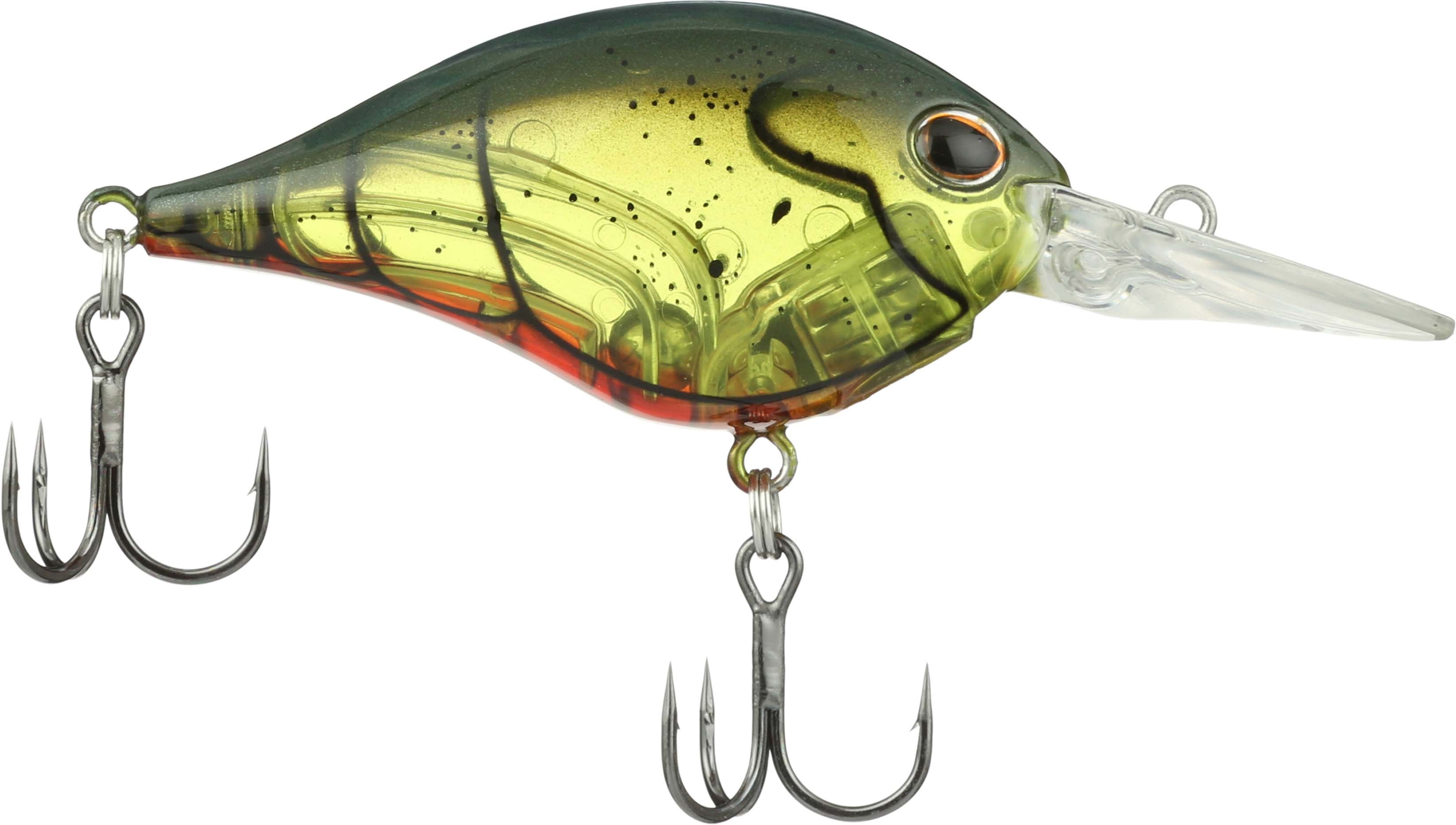 Berkley Dime Size 6 Crankbait - TACKLE WAREHOUSE AMERICA​