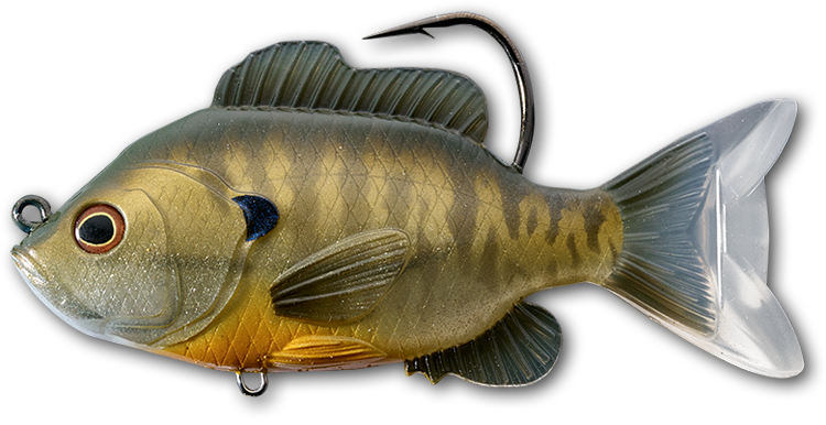 LIVETARGET Sunfish Soft Body Top Hook Swimbait - TACKLE WAREHOUSE AMERICA​