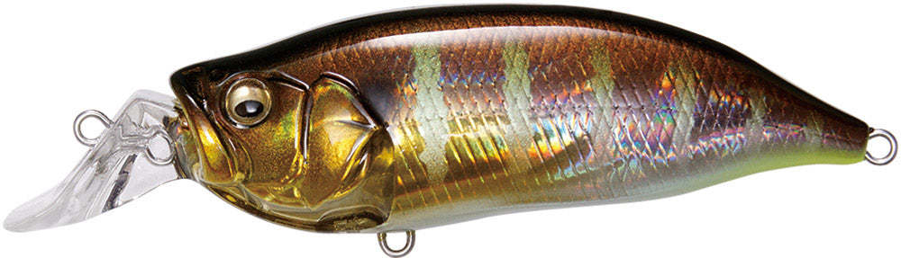 Megabass IXI Shad Type-R Shallow Diving Crankbait - 2.4 Inch - TACKLE WAREHOUSE AMERICA​