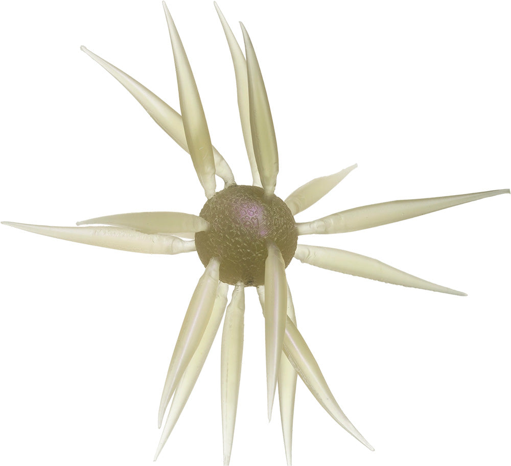 Hideup Coike Fish Large Elastomer - TACKLE WAREHOUSE AMERICA​