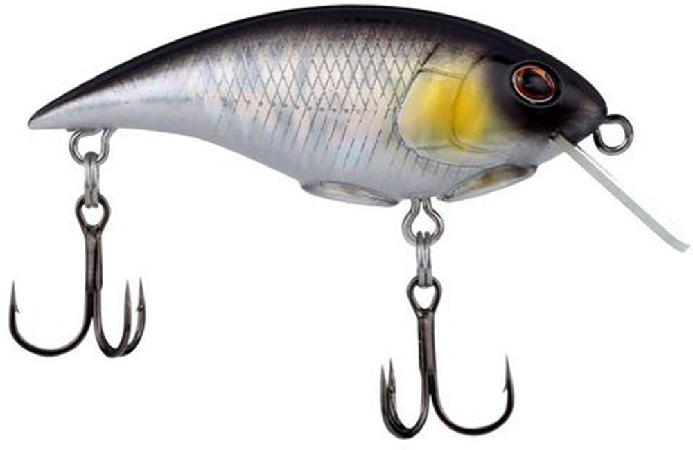 Berkley Shallow Money Badger Crankbait - 2.75 Inch - TACKLE WAREHOUSE AMERICA​