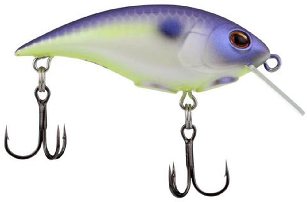 Berkley Shallow Money Badger Crankbait - 2.1 Inch - TACKLE WAREHOUSE AMERICA​