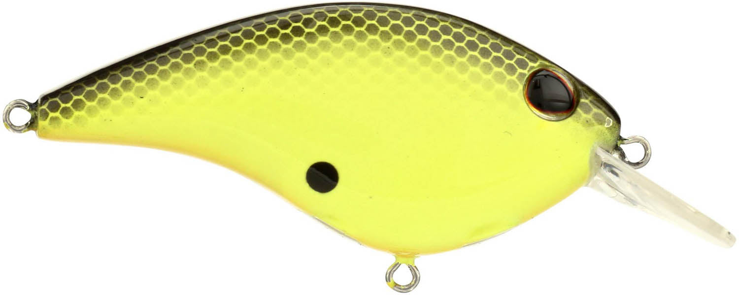 Berkley Clickin Frittside Crankbait - TACKLE WAREHOUSE AMERICA​