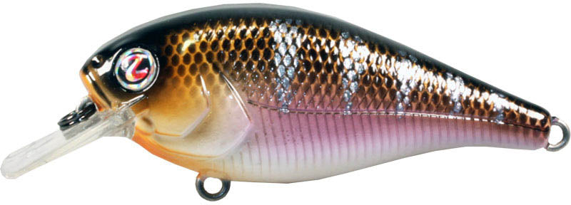 River2Sea Biggie Smalls Bumpin' Rattle Fast Squarebill - TACKLE WAREHOUSE AMERICA​