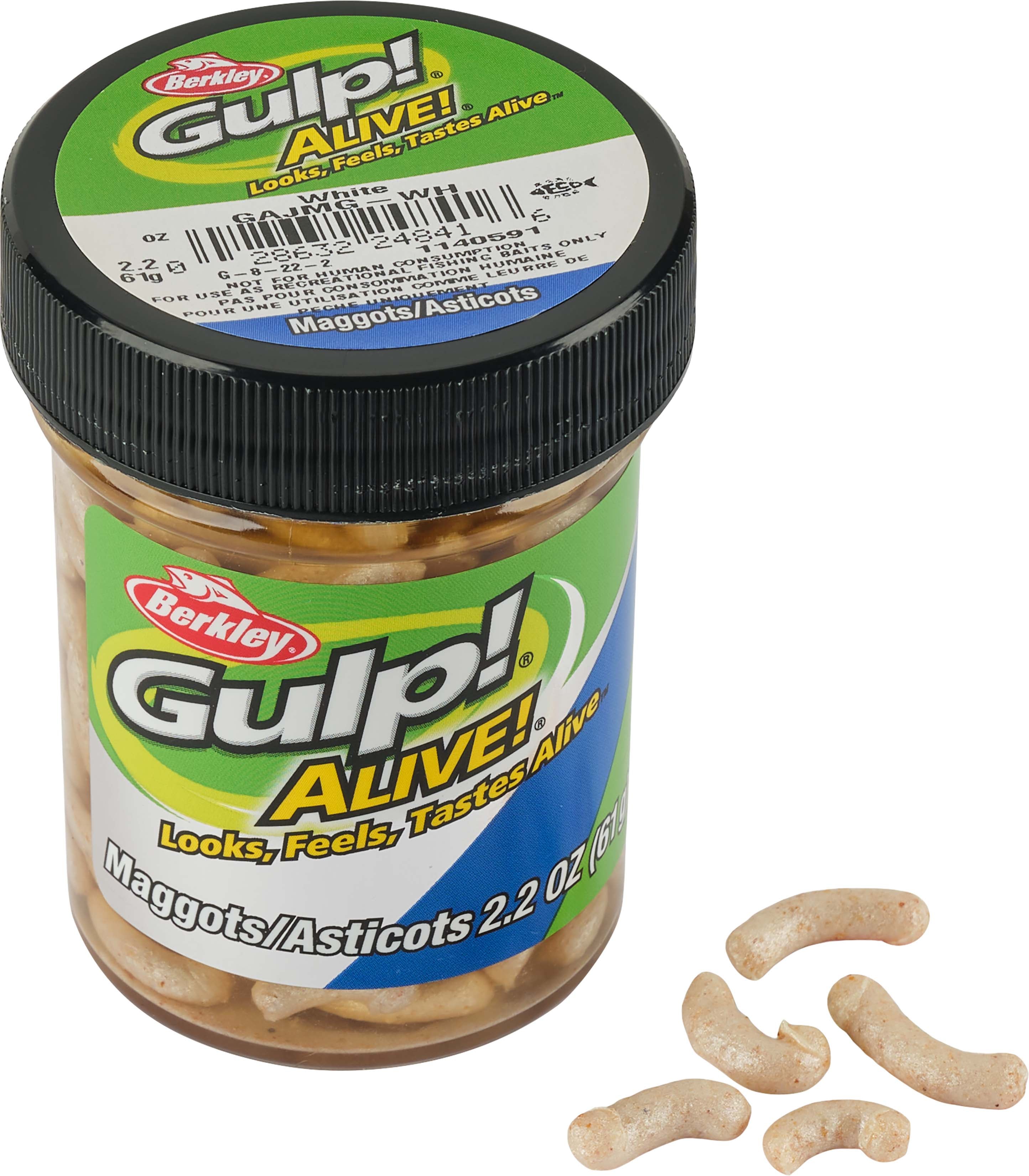 Berkley Gulp! Alive! 1 inch White Maggots 2.2 oz. Jar - TACKLE WAREHOUSE AMERICA​