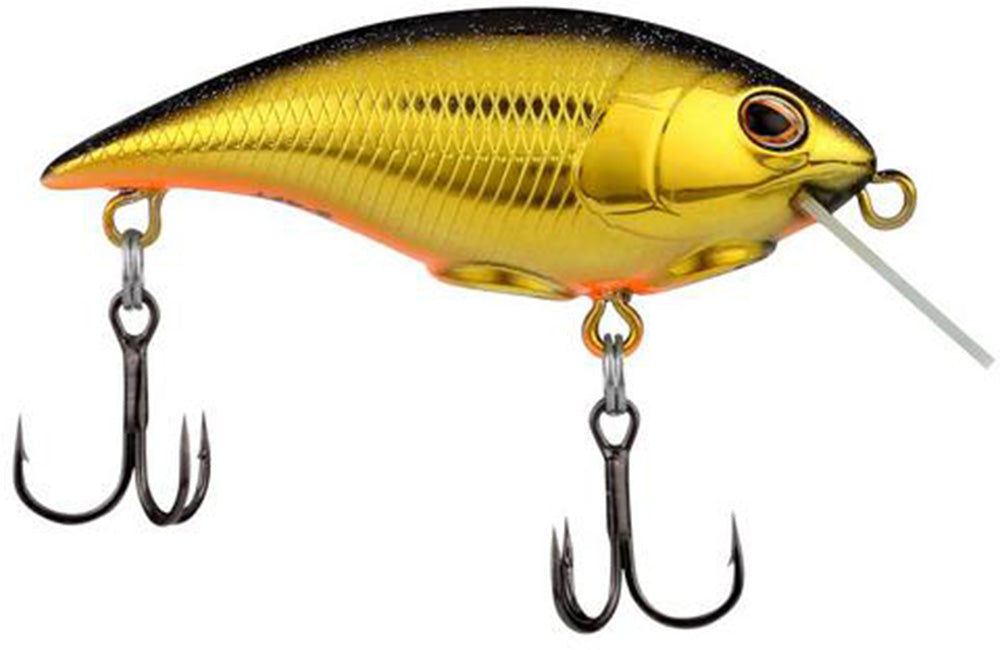 Berkley Shallow Money Badger Crankbait - 2.6 Inch - TACKLE WAREHOUSE AMERICA​