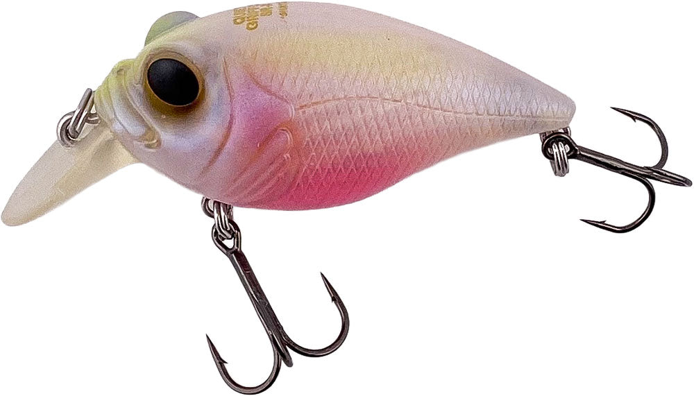 Megabass Quiet Griffon SR-X - Limited Edition - TACKLE WAREHOUSE AMERICA​