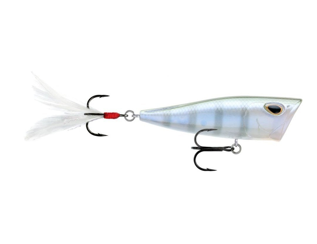 Storm Arashi Cover Pop 3 1/8 inch Topwater Popper - TACKLE WAREHOUSE AMERICA​