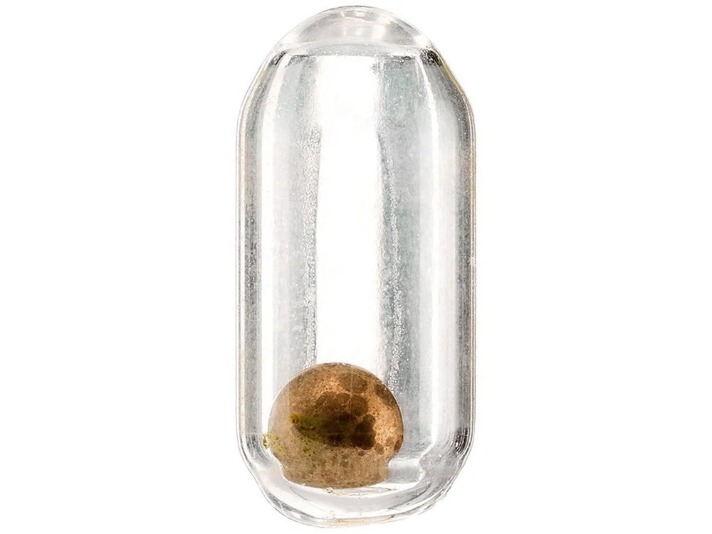 Yum Glass Rattles - 10 Pack - TACKLE WAREHOUSE AMERICA​