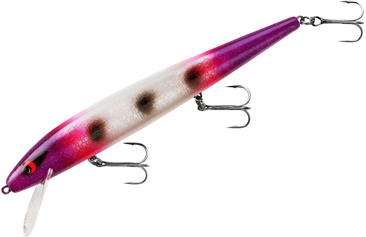 Smithwick Perfect 10 Rogue 5 1/2 inch Deep Diving Suspending Jerkbait - TACKLE WAREHOUSE AMERICA​