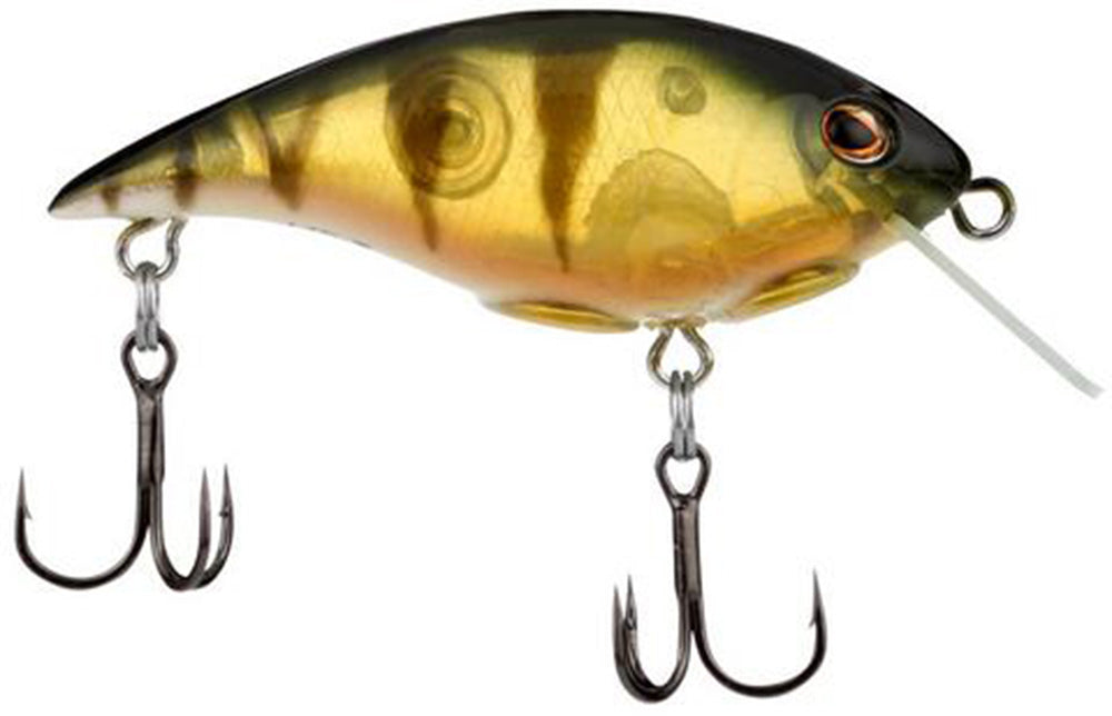 Berkley Shallow Money Badger Crankbait - 2.5 Inch - TACKLE WAREHOUSE AMERICA​