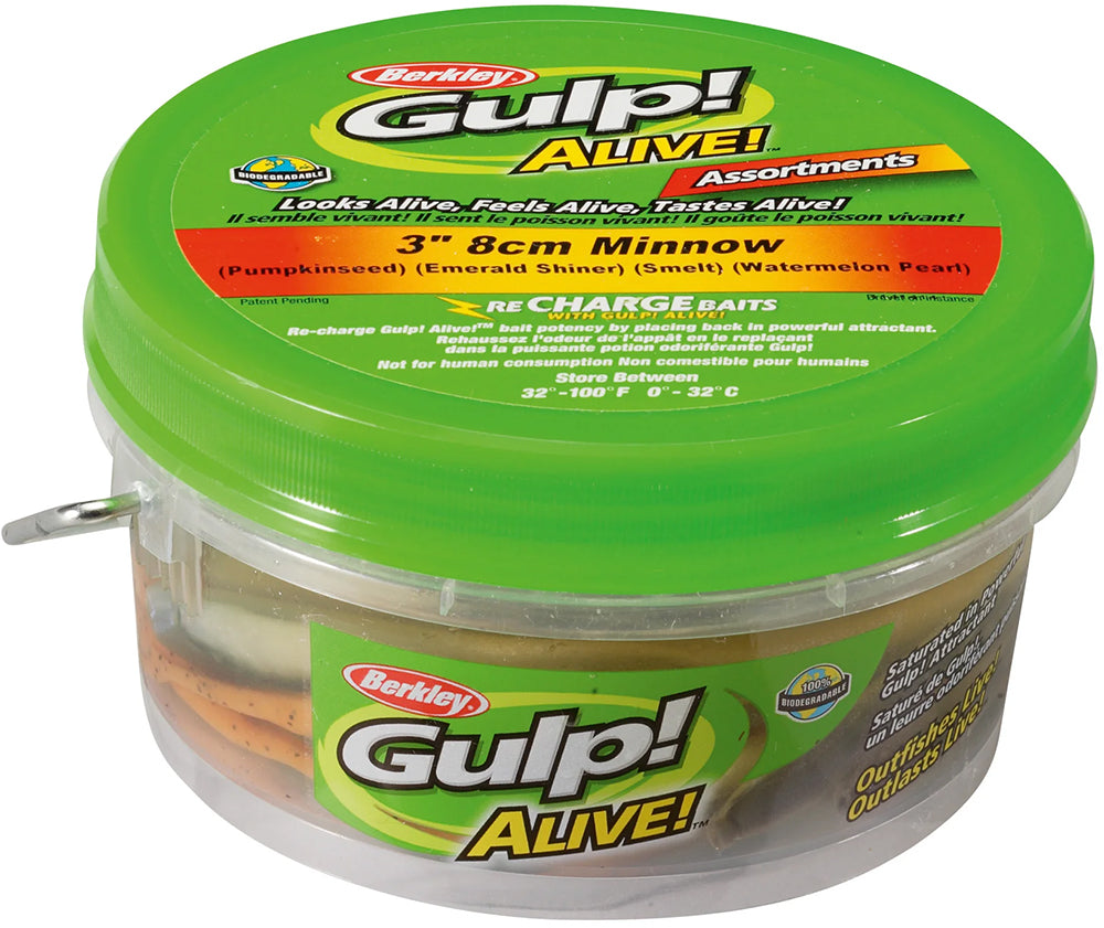 Berkley Gulp! Alive! Minnow Assortment - 3 Inch - TACKLE WAREHOUSE AMERICA​