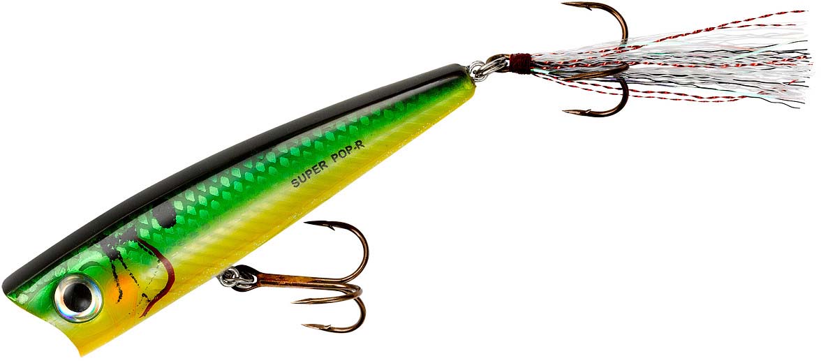 Rebel Super Pop-R 3 1/8 inch Topwater Popper - TACKLE WAREHOUSE AMERICA​