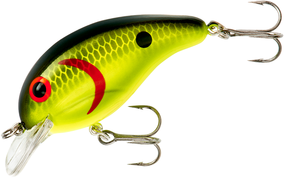 Bandit 100 Series Shallow Diving Crankbait - TACKLE WAREHOUSE AMERICA​
