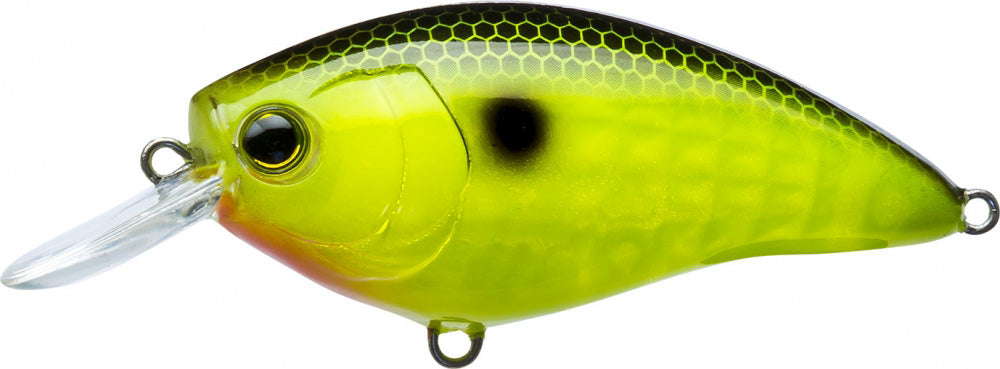 Yo-Zuri 3DR-X Shallow Runner SR Crankbait 50mm - 2 Inch - TACKLE WAREHOUSE AMERICA​