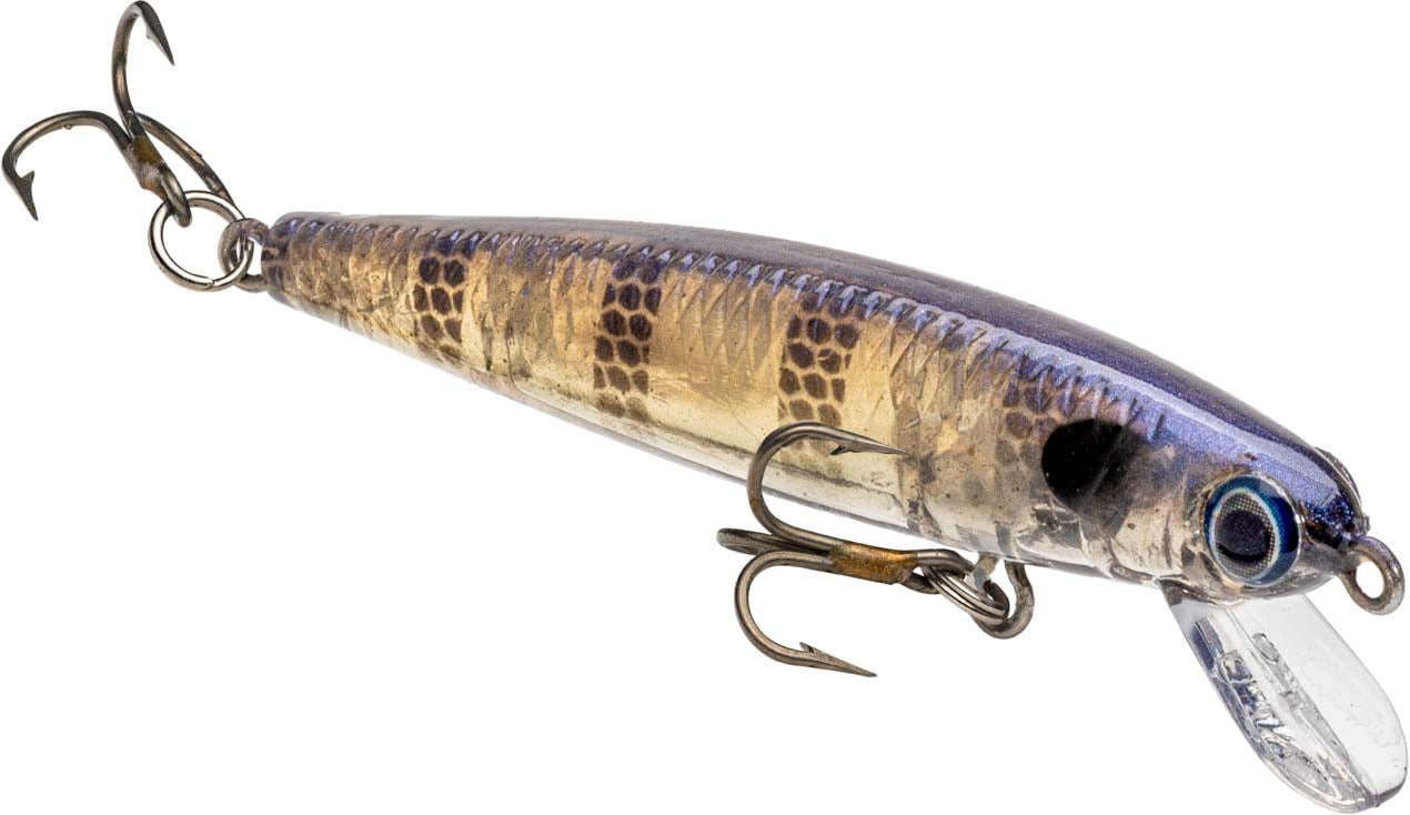 Strike King Bitsy Jerkbait - TACKLE WAREHOUSE AMERICA​