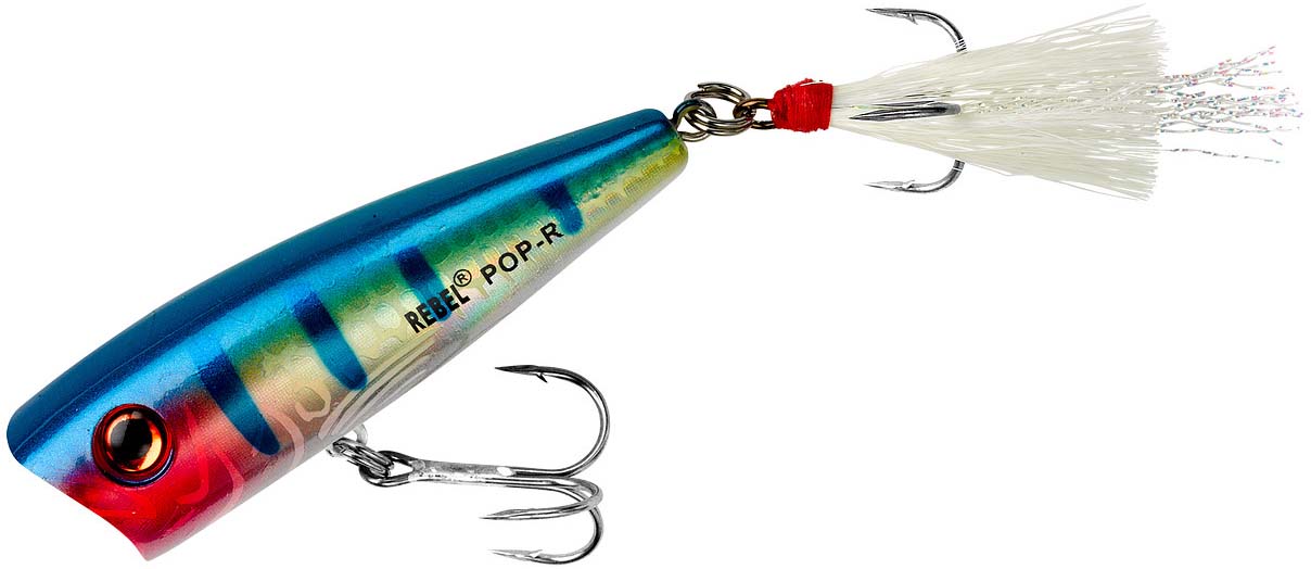 Rebel Pop-R Topwater Popper - TACKLE WAREHOUSE AMERICA​
