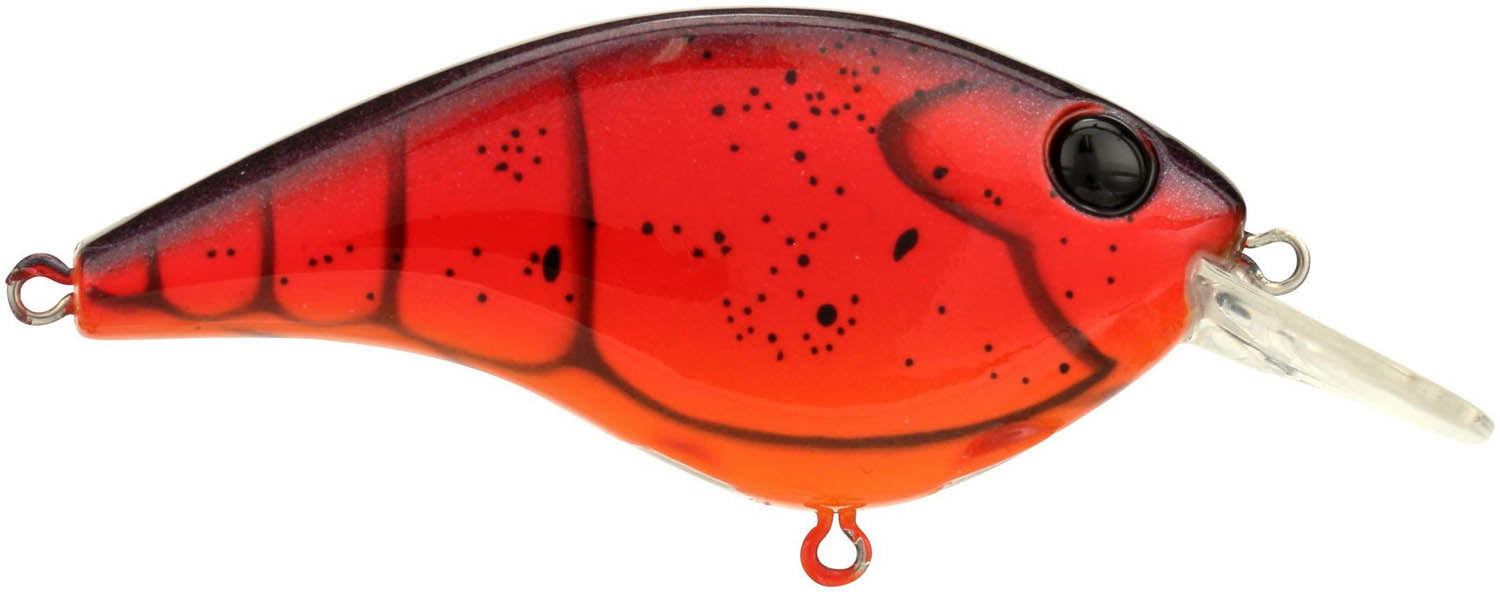 Berkley Clickin Frittside Crankbait - TACKLE WAREHOUSE AMERICA​