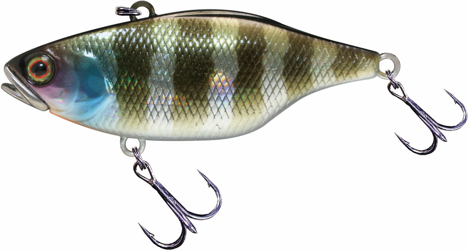 Jackall TN 60/70 Disc Knocker Lipless Crankbait - TACKLE WAREHOUSE AMERICA​