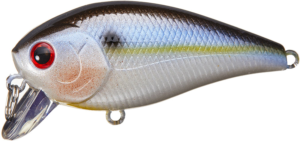 Lucky Craft LC 1.5 Super Shallow Runner (SSR) Squarebill Crankbait - 2.25 Inch - TACKLE WAREHOUSE AMERICA​