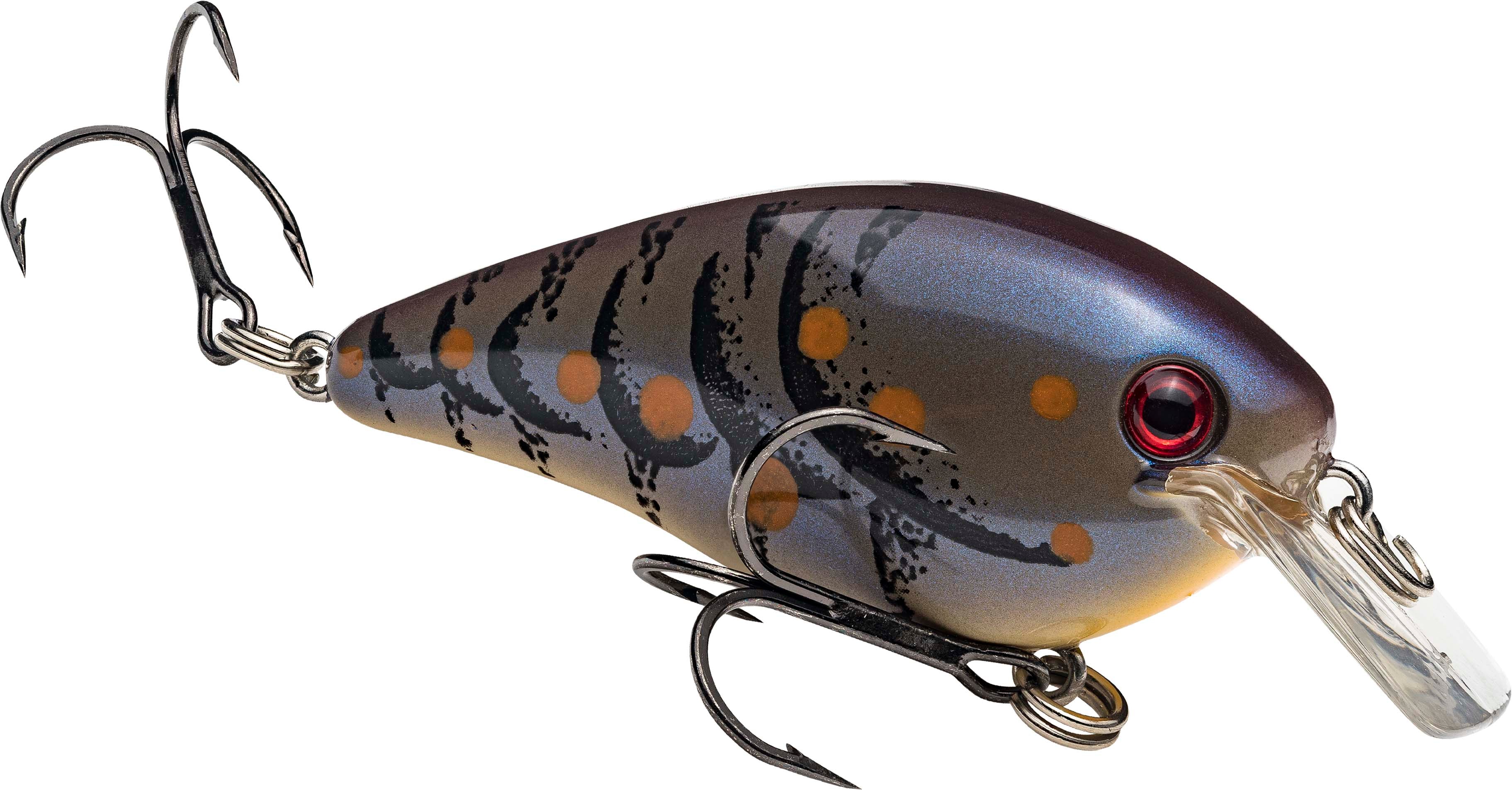 Strike King KVD Square Bill 1.0 Silent Crankbait - TACKLE WAREHOUSE AMERICA​