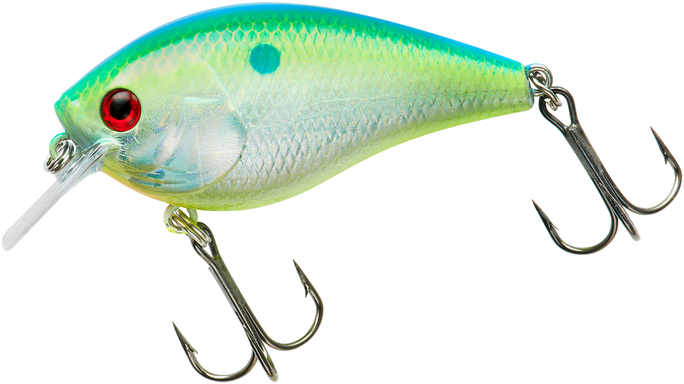 Booyah XCS Series Shallow Squarebill Crankbait - TACKLE WAREHOUSE AMERICA​