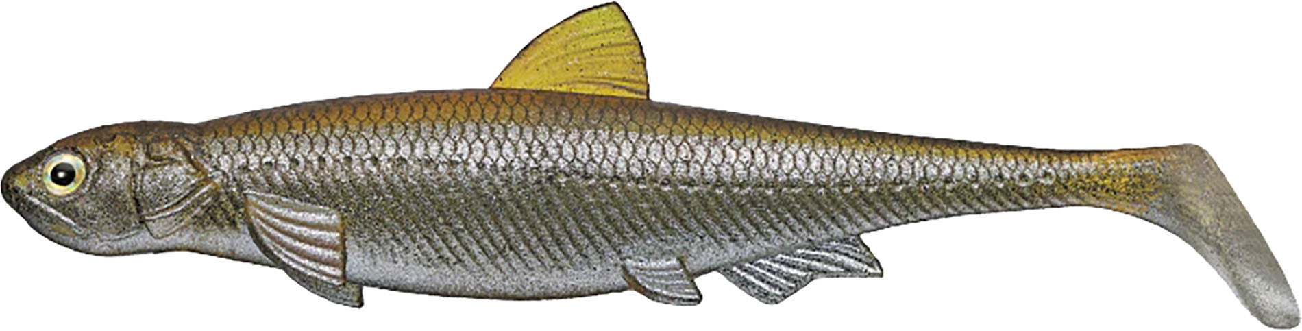 Evergreen Last Ace 140 Paddle Tail Swimbait - 5.5 Inches - TACKLE WAREHOUSE AMERICA​